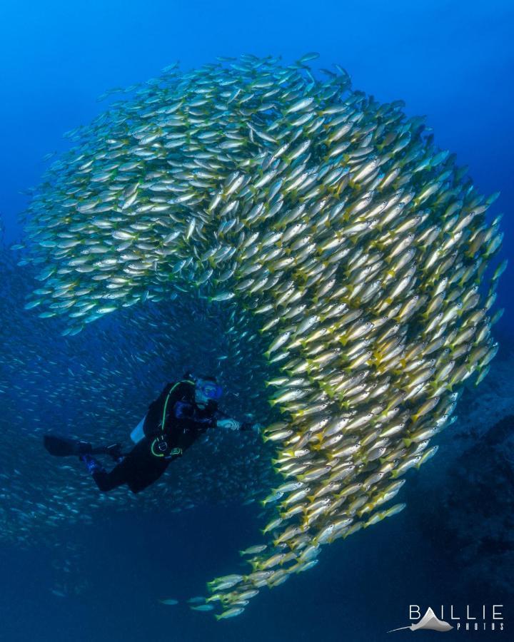 Hydronauts Diving Resort - Koh Tao Exterior photo